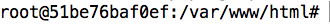 terminal docker interactica contenedor